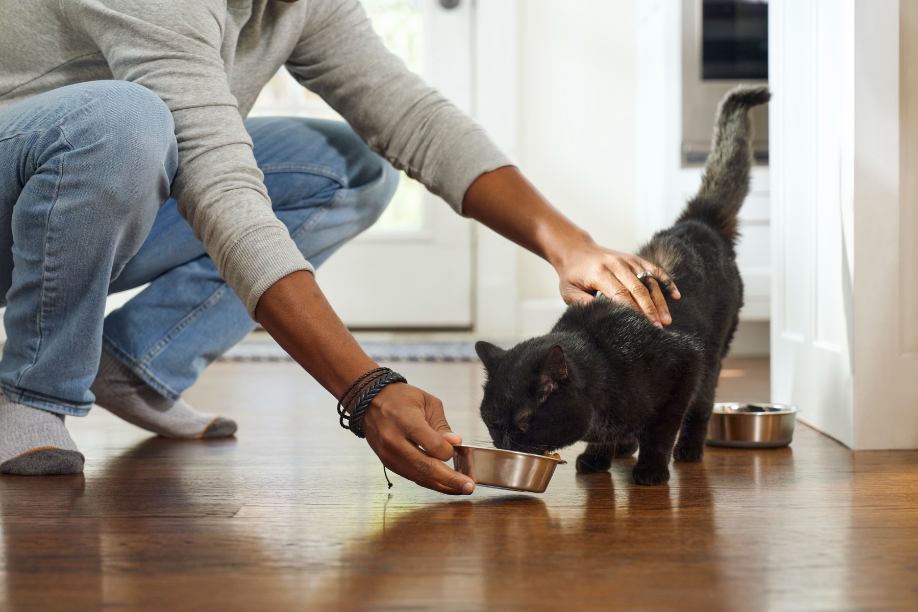 Purina Shelter Champions Homepage Banner